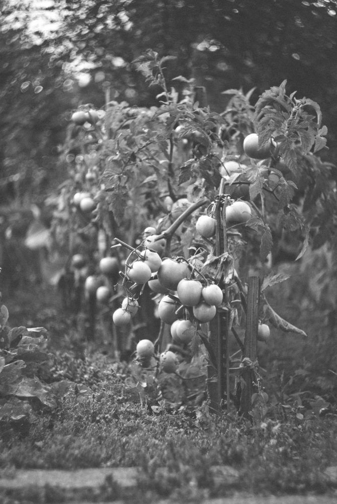 Photograph by Дмитрий Пацук