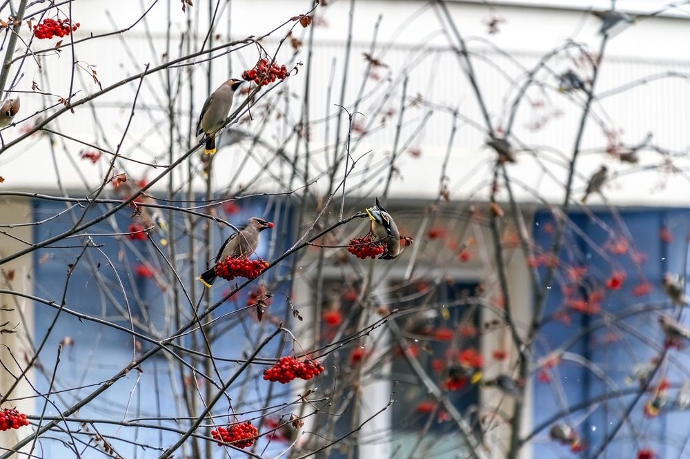 Photograph by Валерий Клейменов