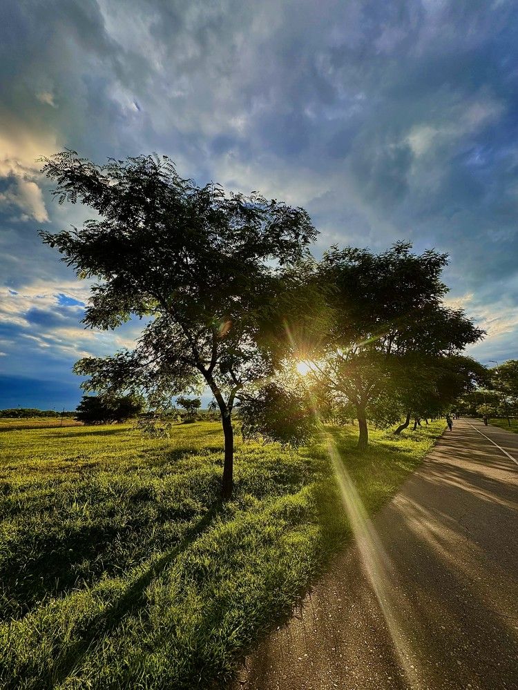 Photograph by Maximo Parpagnoli