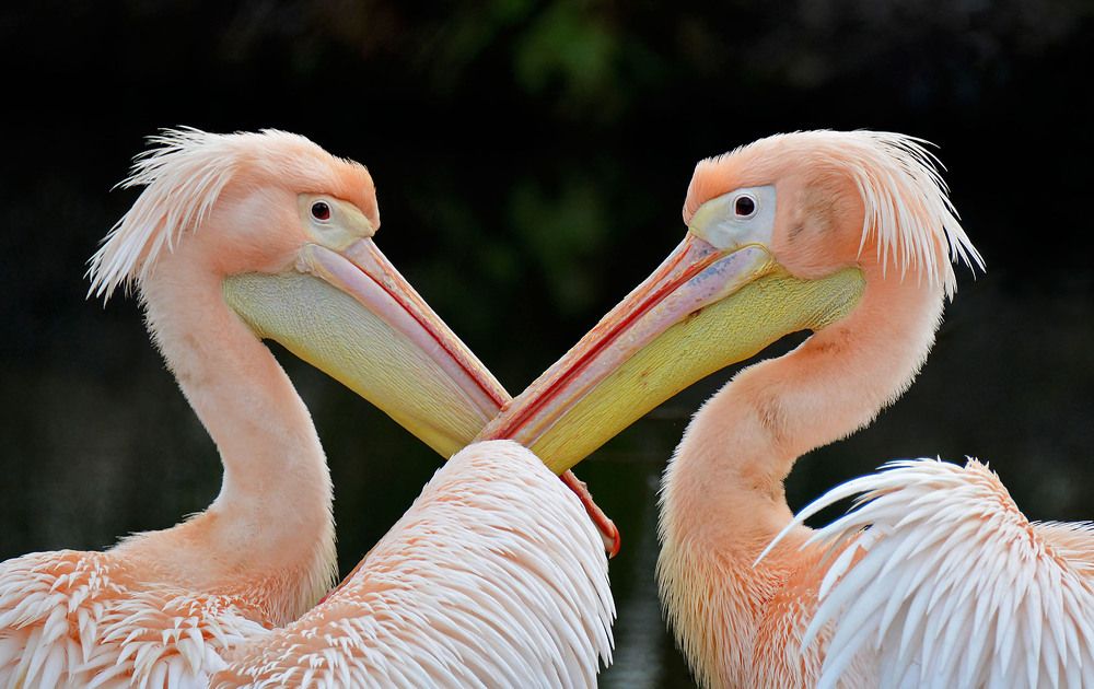 Photograph by Marjo Steffen