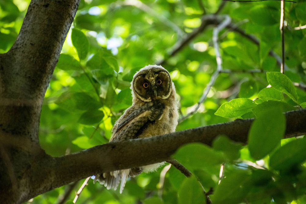 Photograph by Ирина