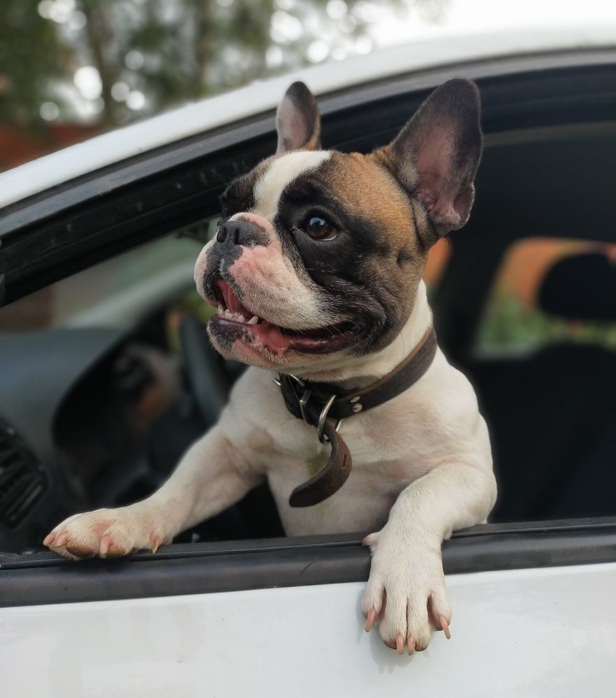 Photograph by Ольга Мартьянова