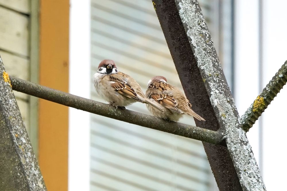 Photograph by Алексей Курносов