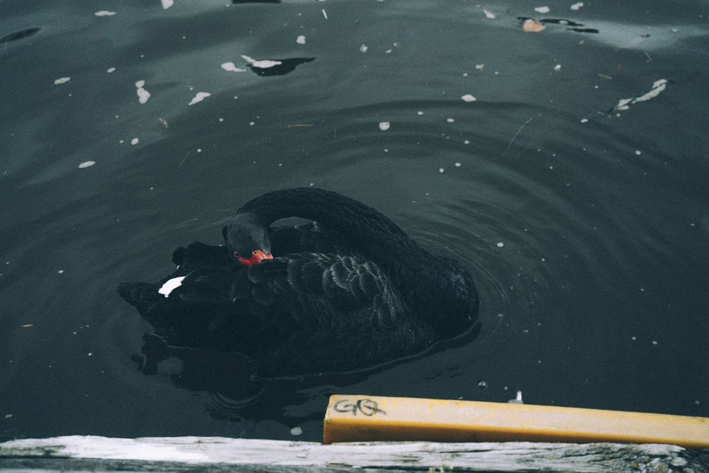 Photograph by Danil Shipulin