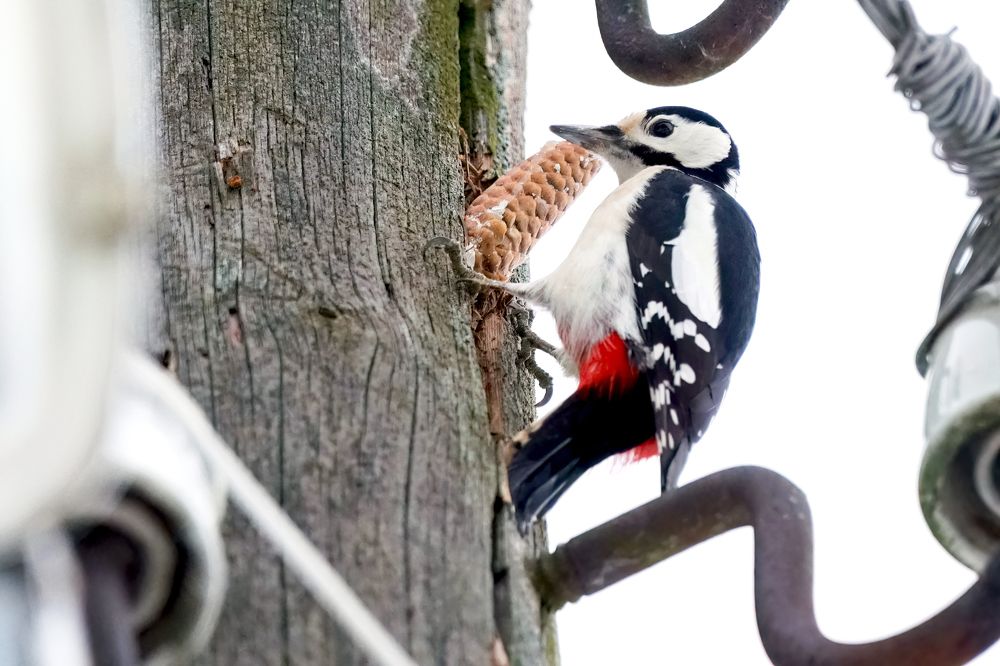 Photograph by Алексей Курносов