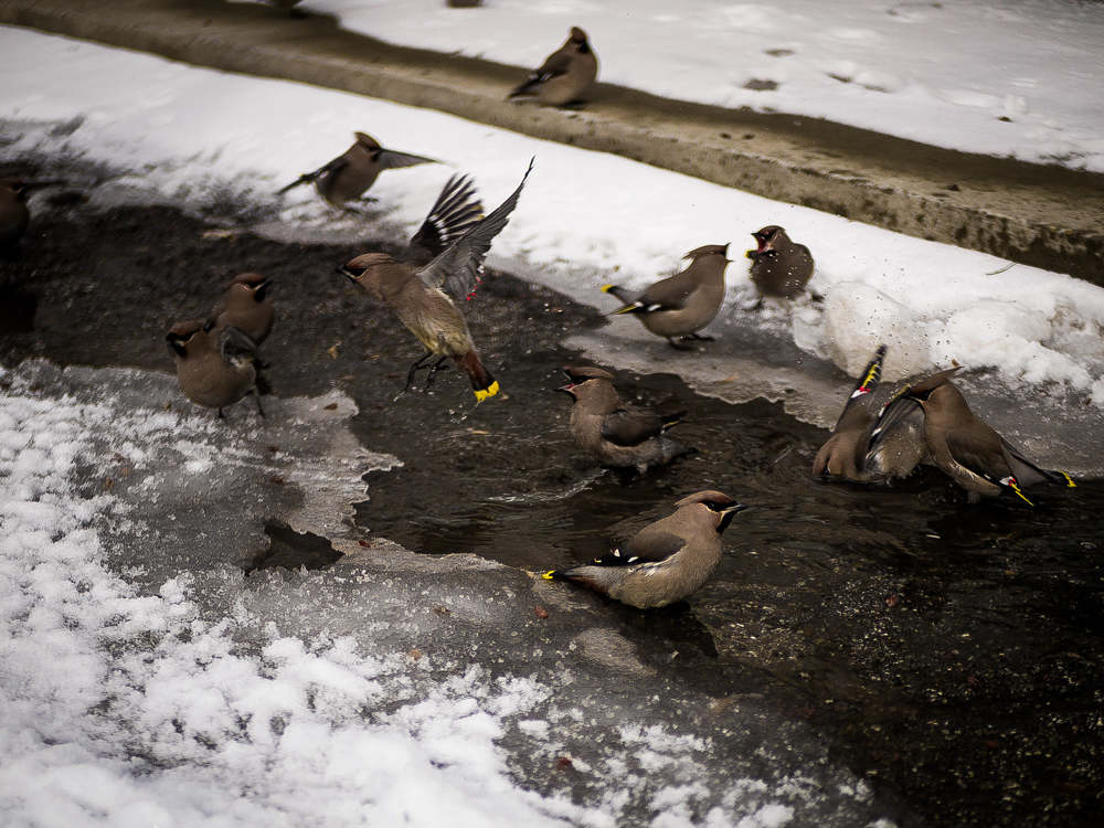 Photograph by Елена Берсенёва