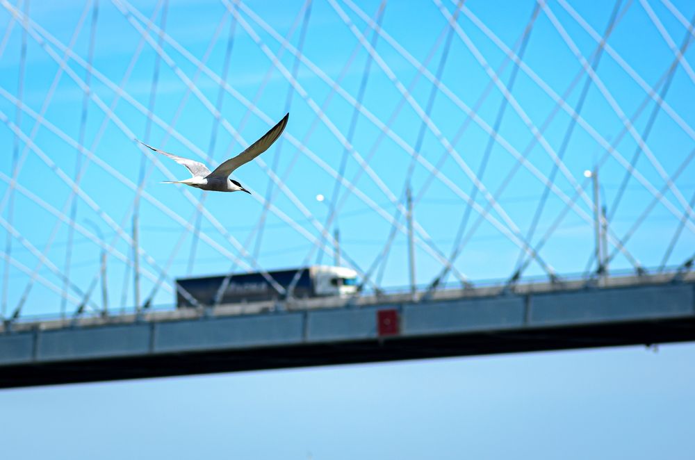 Photograph by Елена Берсенёва