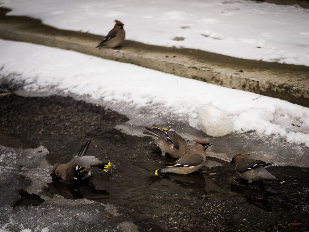 Photograph by Елена Берсенёва