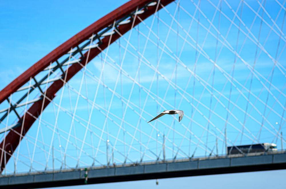 Photograph by Елена Берсенёва