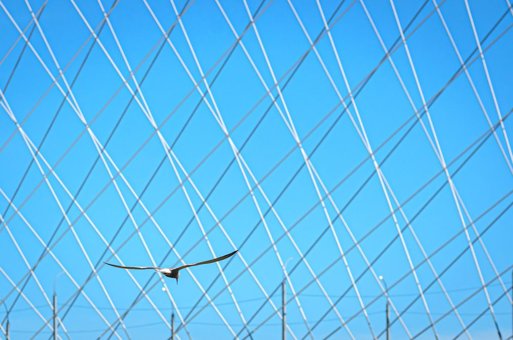 Photograph by Елена Берсенёва