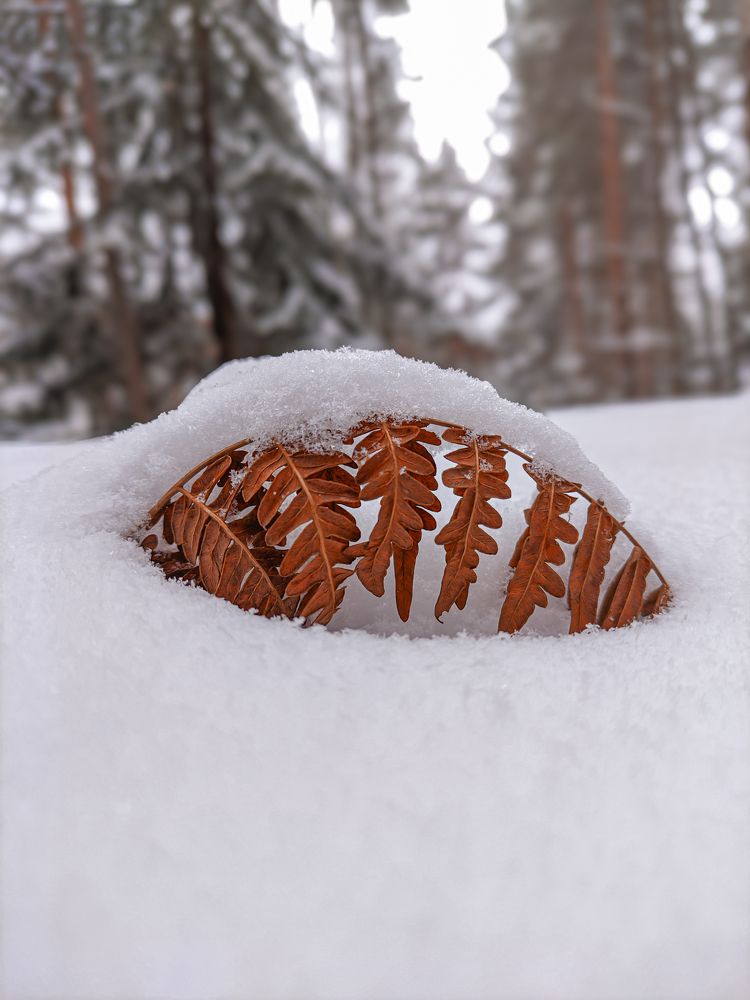 Фотография автора Александр Хухлов