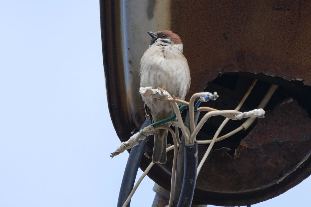 Photograph by Алексей Курносов