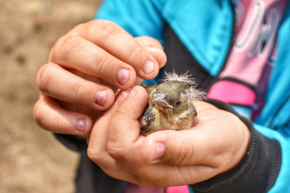 Photograph by Татьяна Абабкова