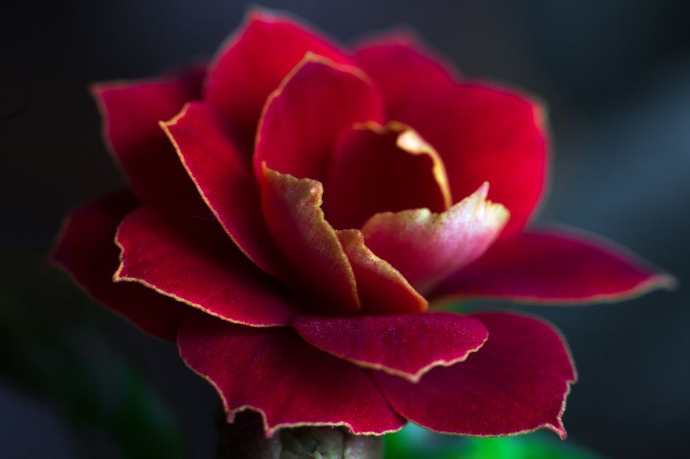 Photograph by Сергей Алексеев