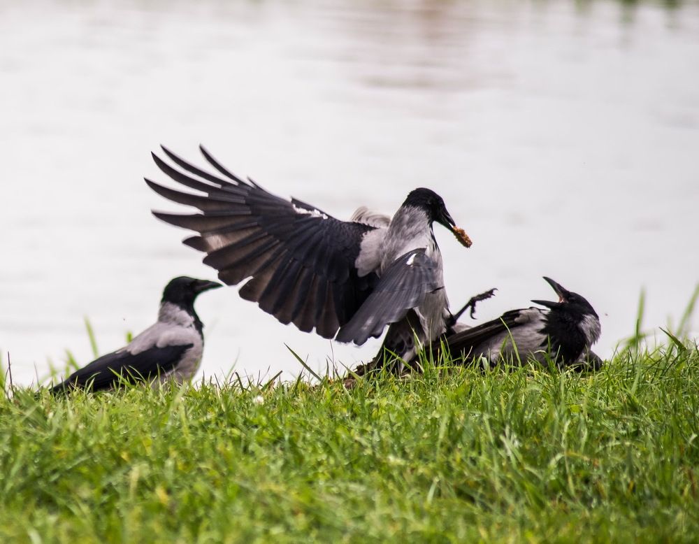 Фотография автора Aliaksandr Shautsou