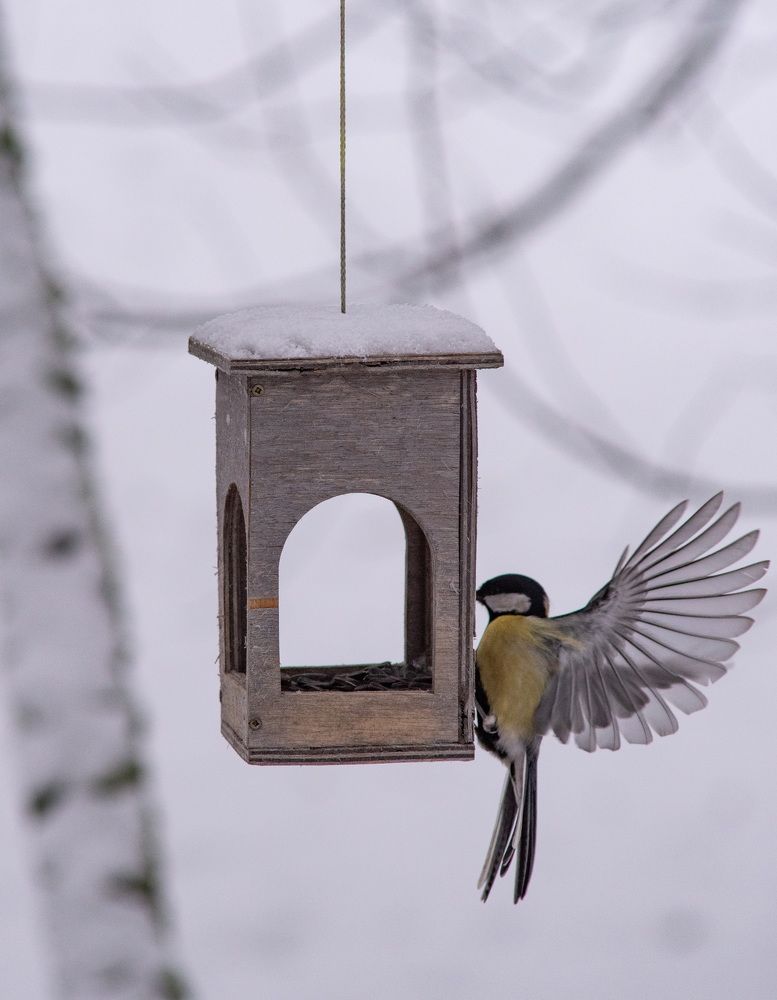 Фотография автора Aliaksandr Shautsou
