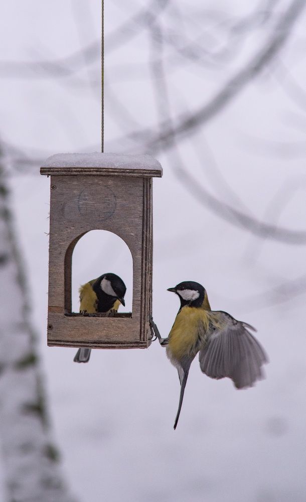 Фотография автора Aliaksandr Shautsou