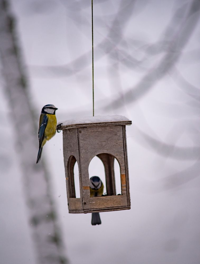 Фотография автора Aliaksandr Shautsou