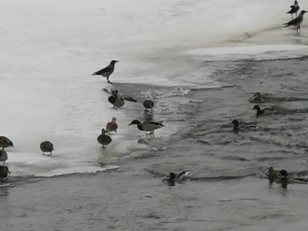 Photograph by Alexey Reznichenko