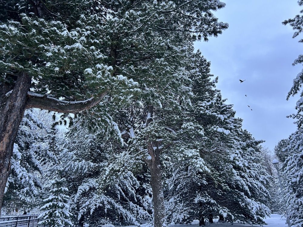 Photograph by Алина Логвиненко