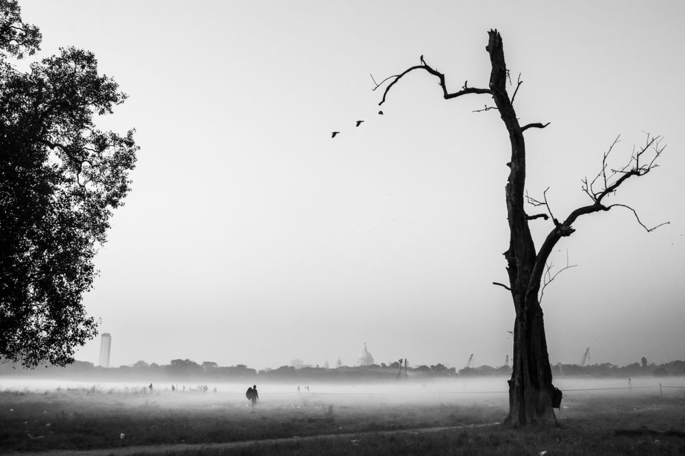 Фотография автора Soumalya Das