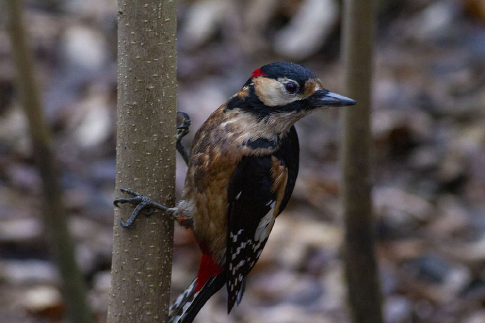 Photograph by Капанов Владислав