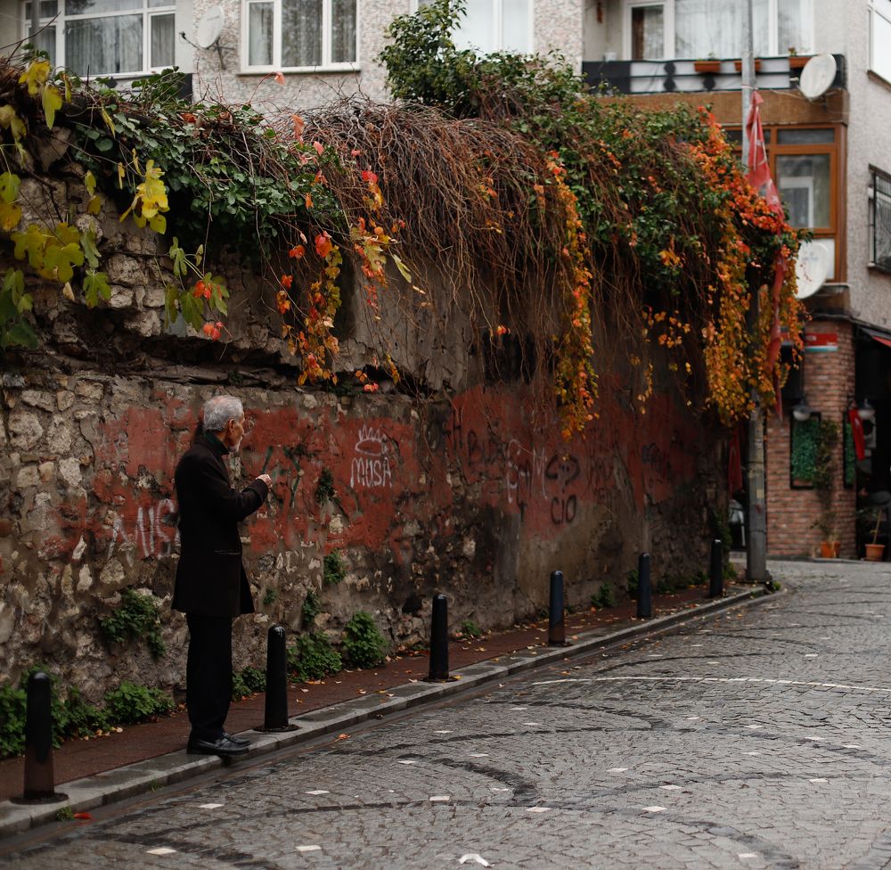 Краски зимнего Балата