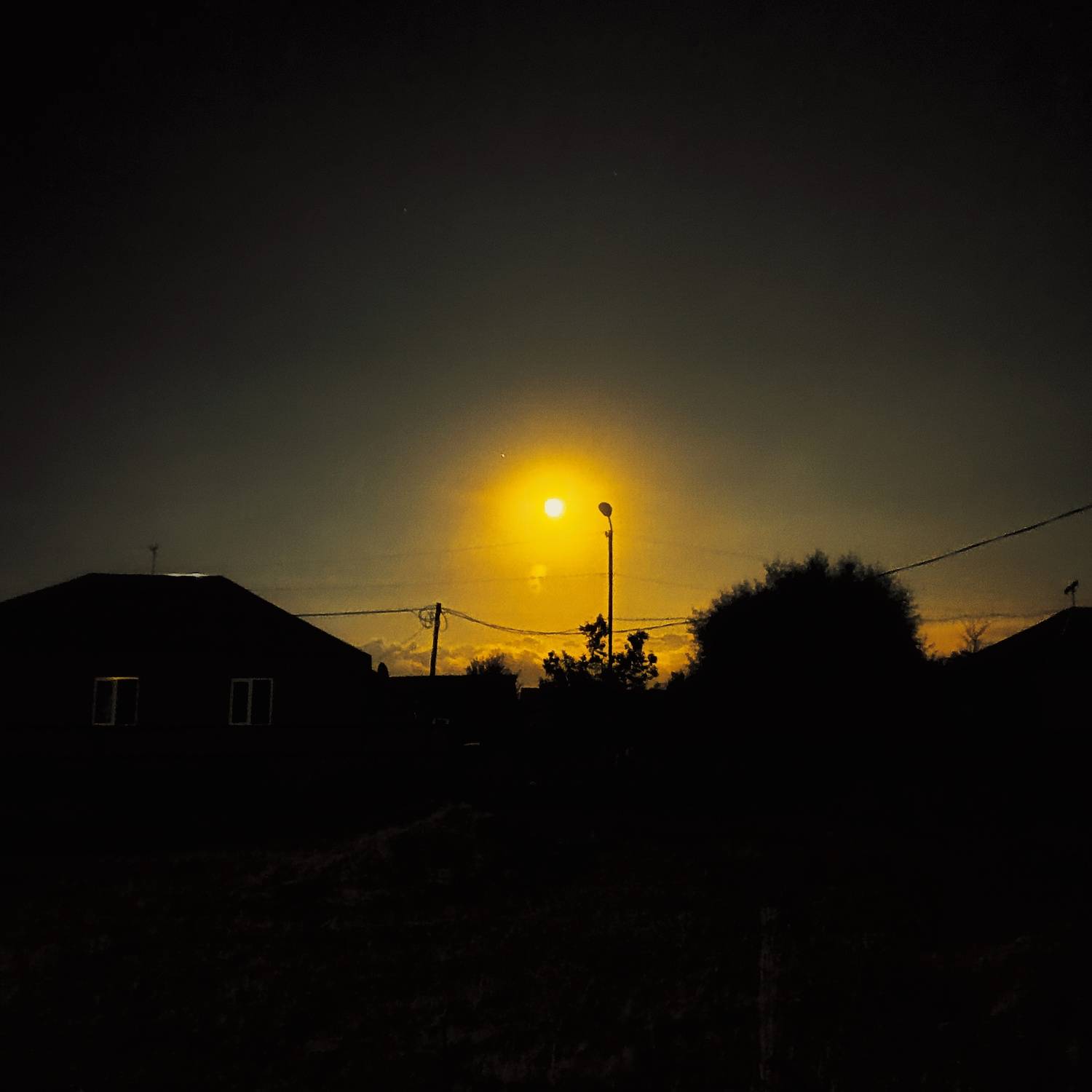Photo #11755116