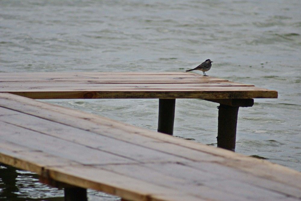 Photograph by Игорь Пшеничников