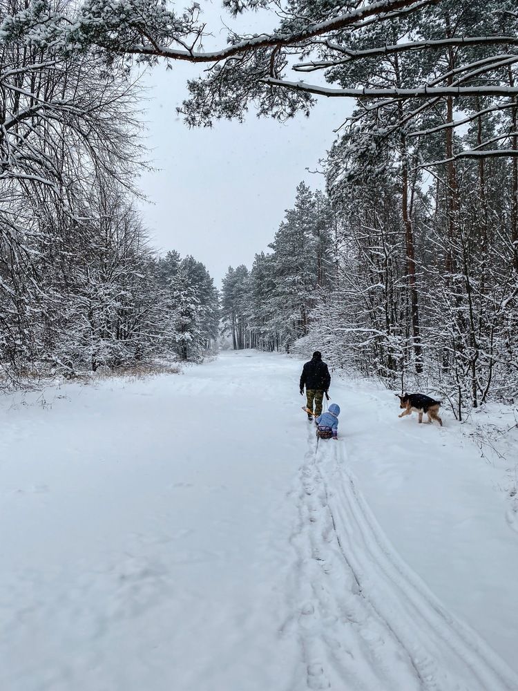 Photograph by Татьяна Дмитроченко