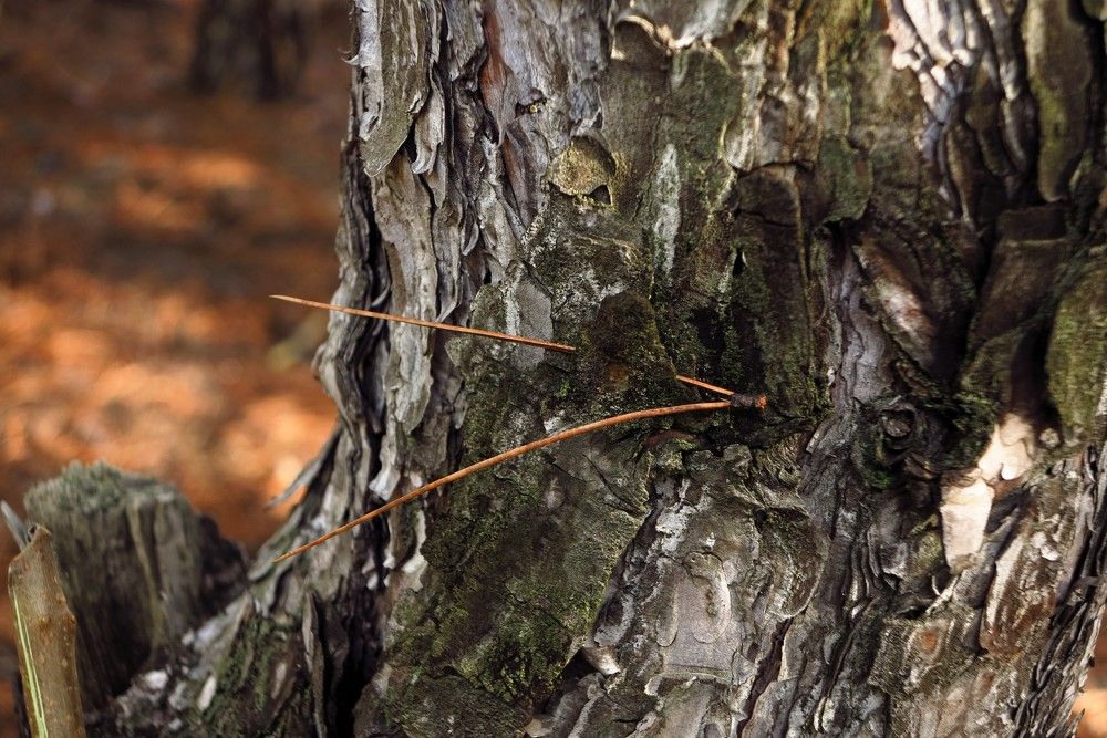 Фотография автора Евгений