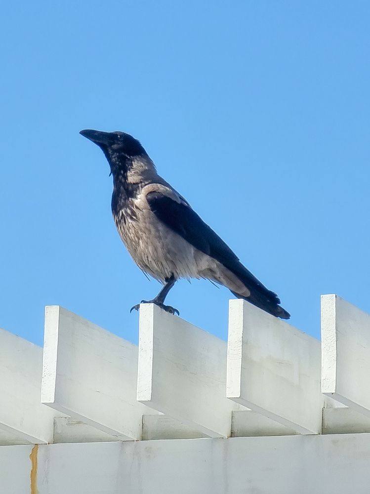 Photograph by Сергей Кесаев