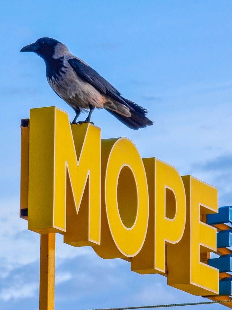 Photograph by Сергей Кесаев