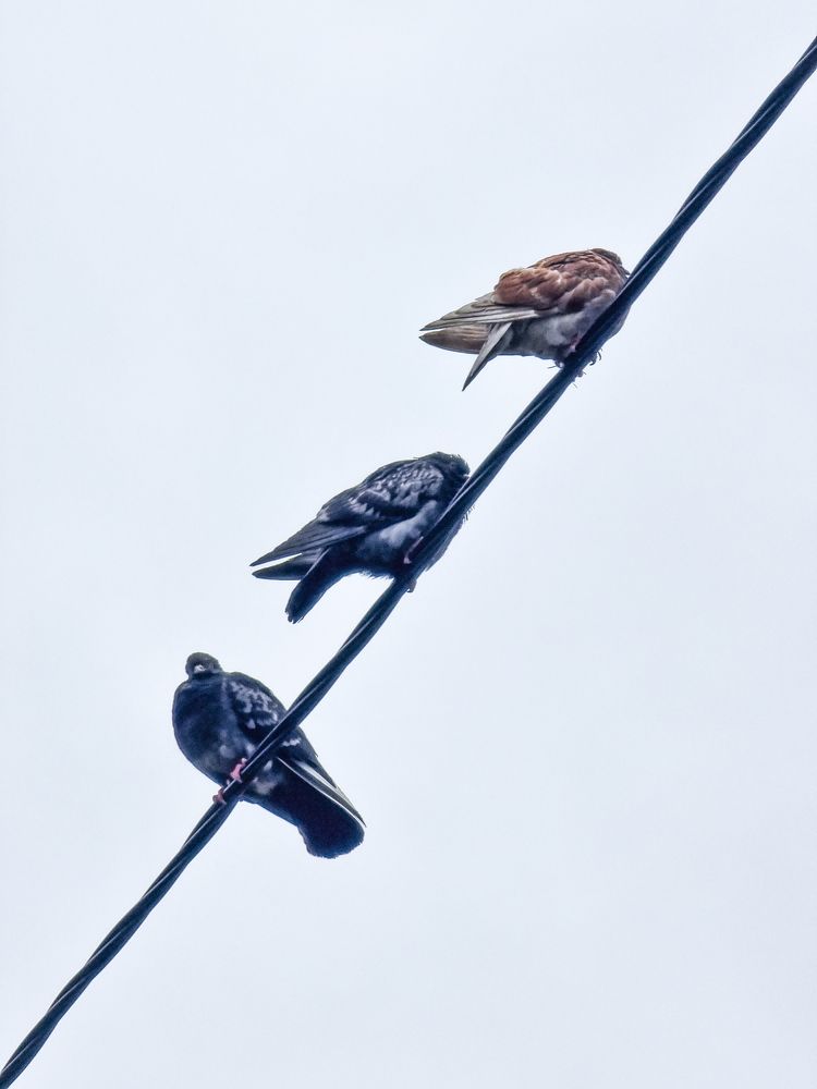 Photograph by Сергей Кесаев