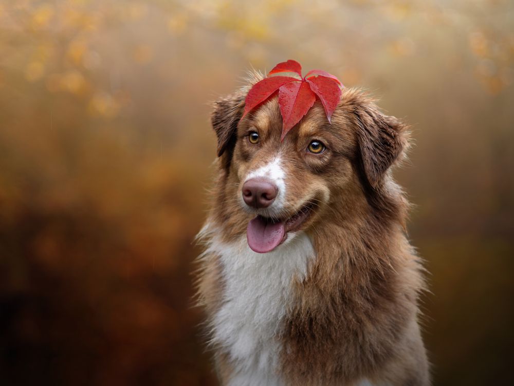 Photograph by Dorota Hnatová