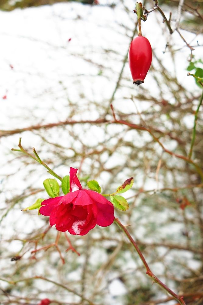 Фотография автора Евгений