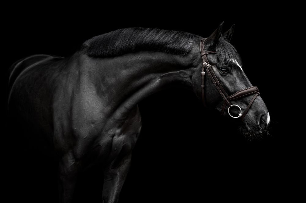 Photograph by Lenka Šilhová