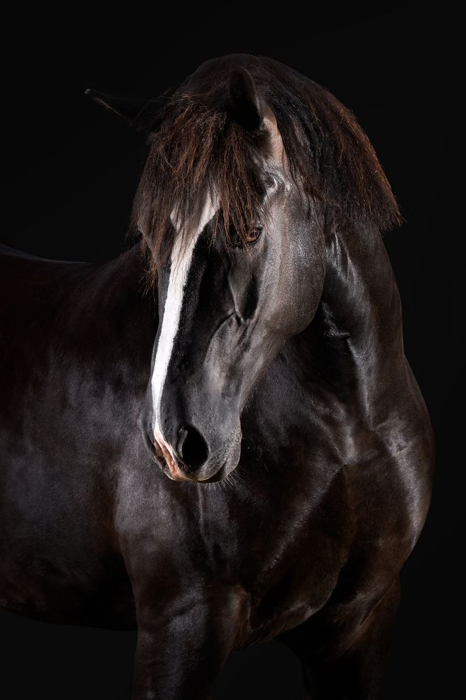 Photograph by Lenka Šilhová