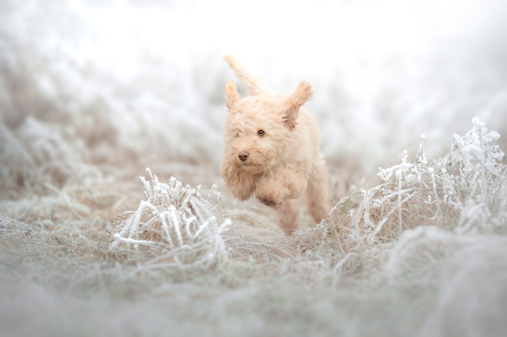 Photograph by Lenka Šilhová