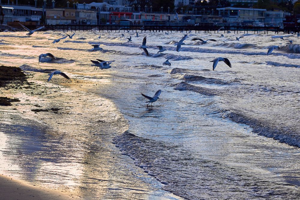 Photograph by Наталья Шевелева