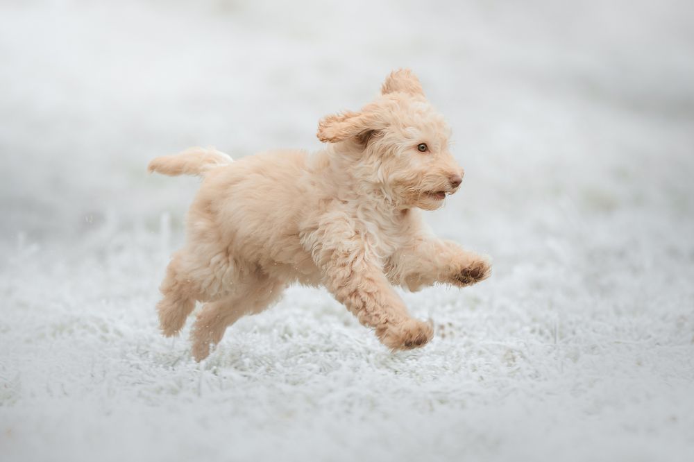 Photograph by Lenka Šilhová