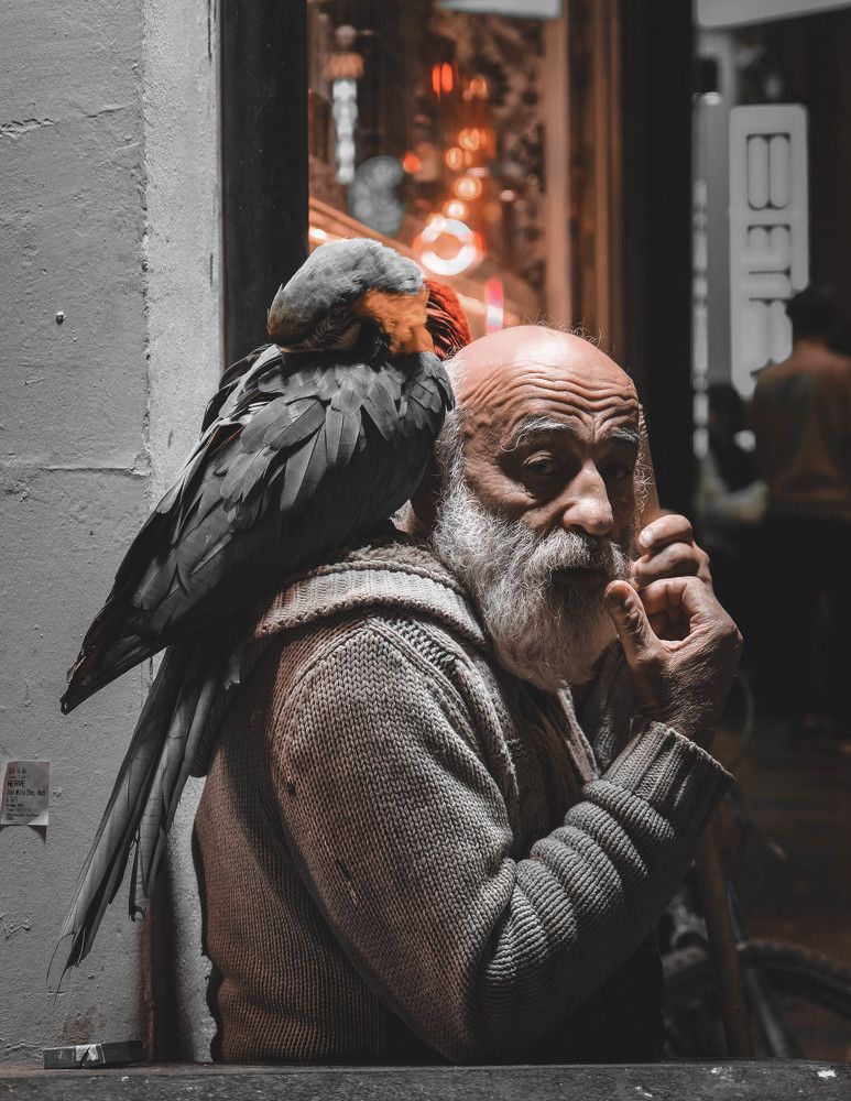 Фотография автора Hakan Tunc