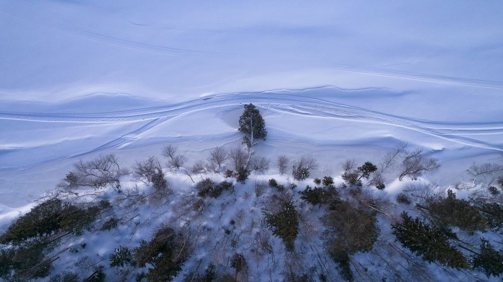 Photograph by Вадим Сташкевич