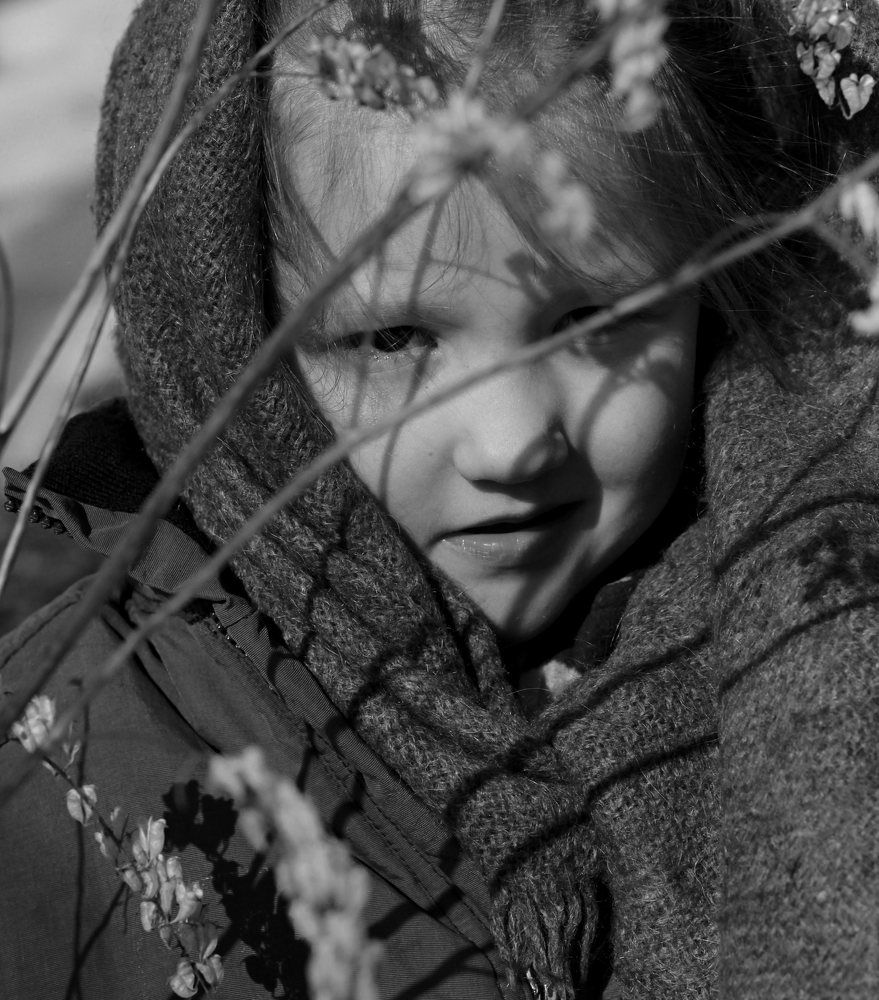 Фотография автора Анастасия Ощепкова