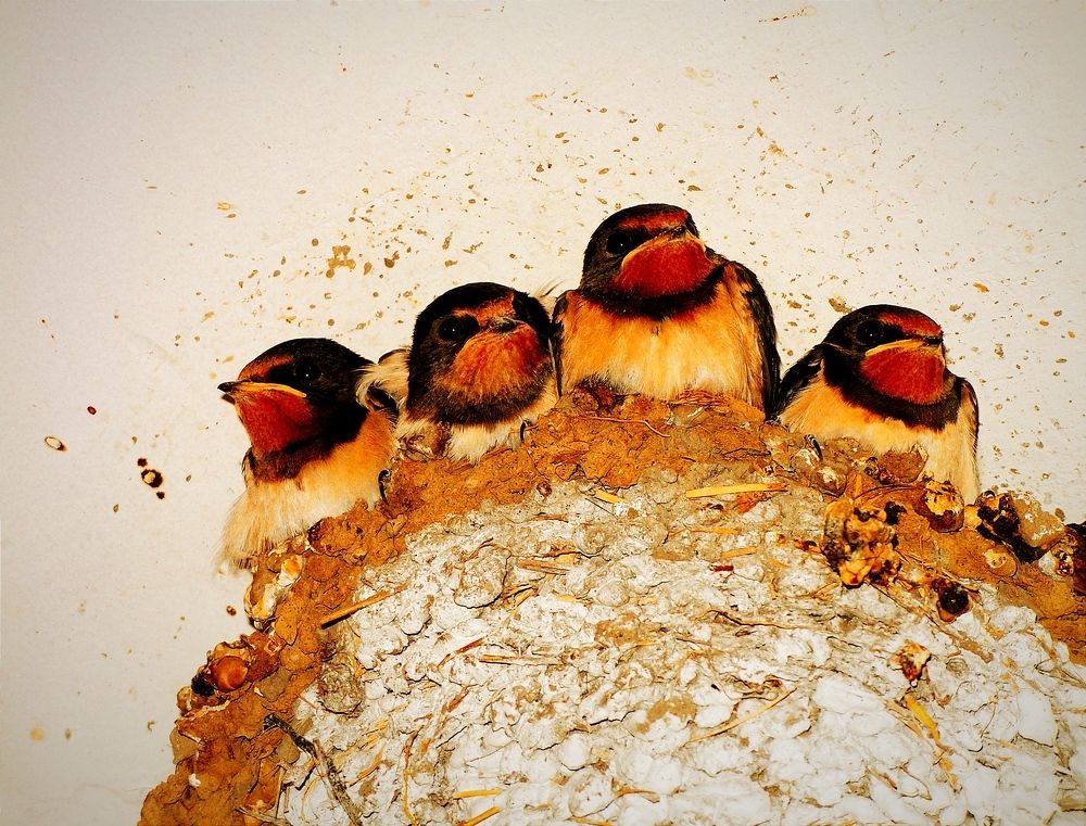 Photograph by Владимир Ким