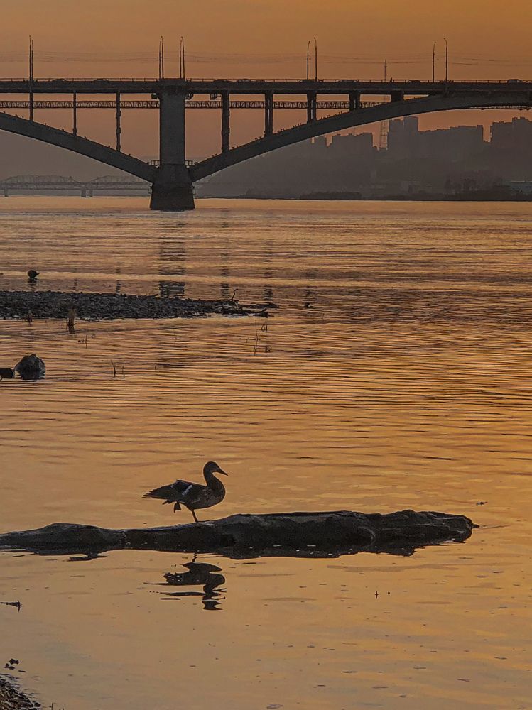 Фотография автора Светлана Гончарова