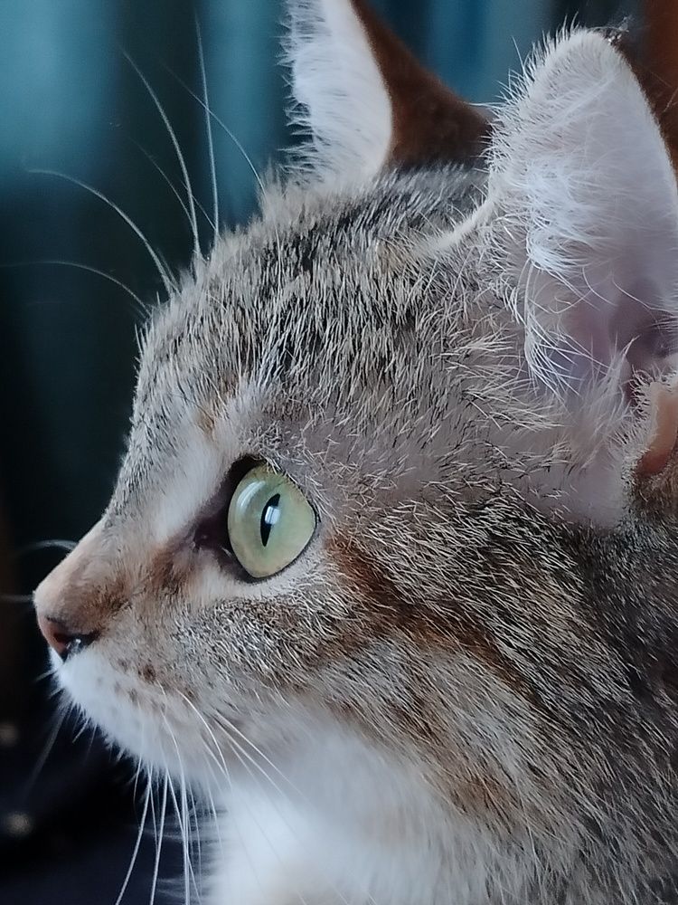 Photograph by Зульфия Набиуллина