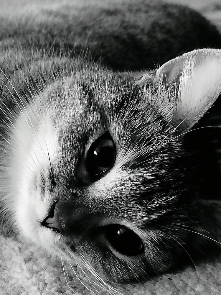 Photograph by Зульфия Набиуллина