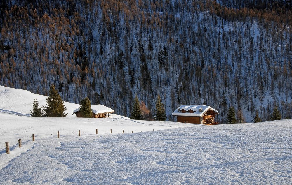 Photograph by Svetlana Rizzo