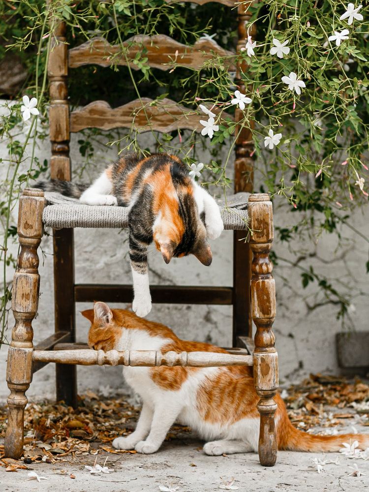 Photograph by Alexandra Sergeeva